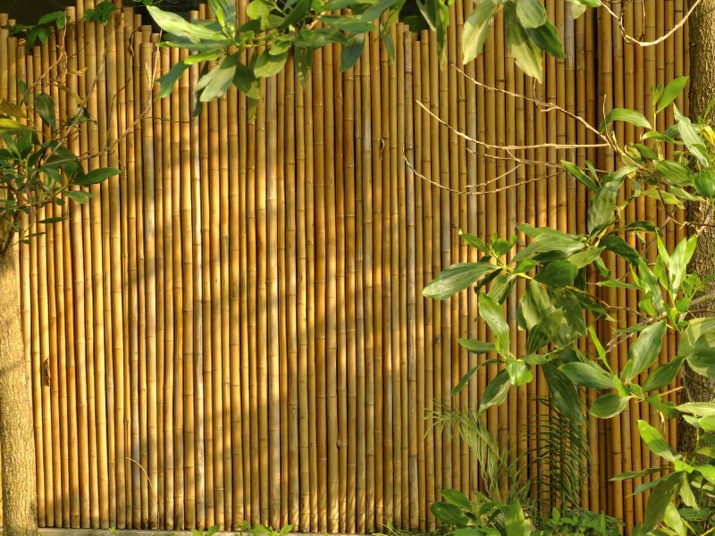 Eco-Friendly Bamboo Fence
